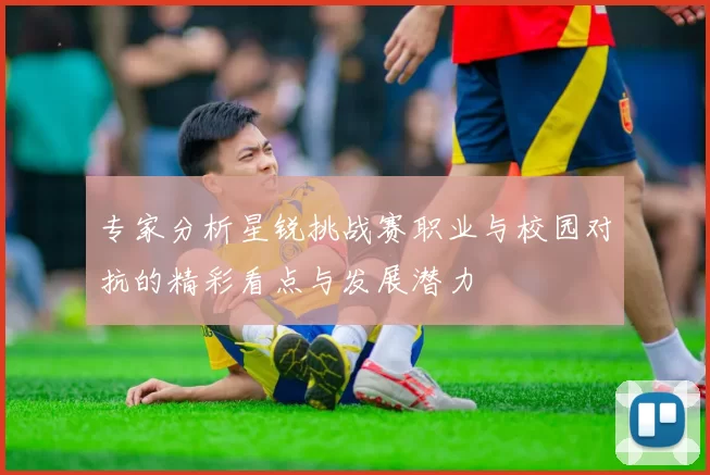 专家分析星锐挑战赛职业与校园对抗的精彩看点与发展潜力