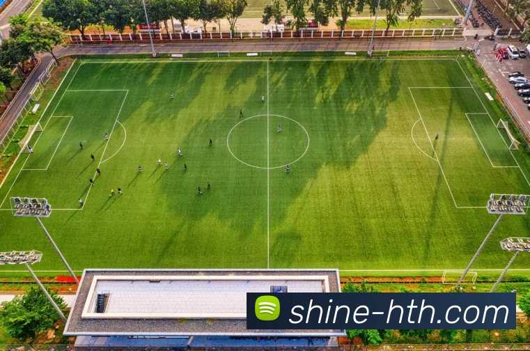 hth体育平台生态图