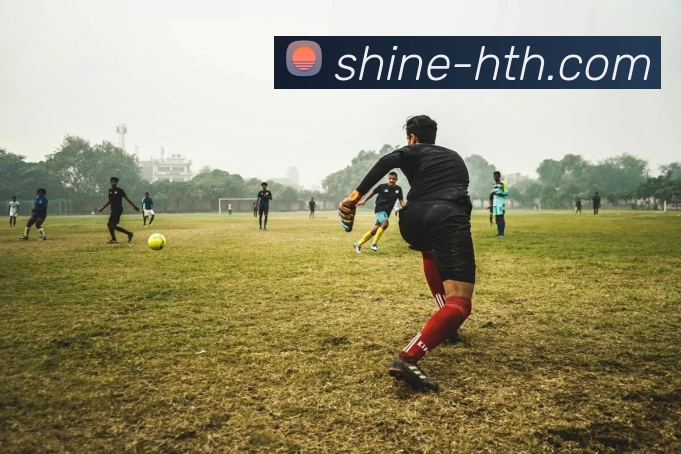 hth体育APP 封面图